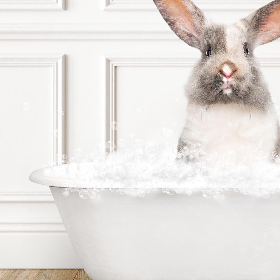 Bunny in Traditional Panel Bath Style