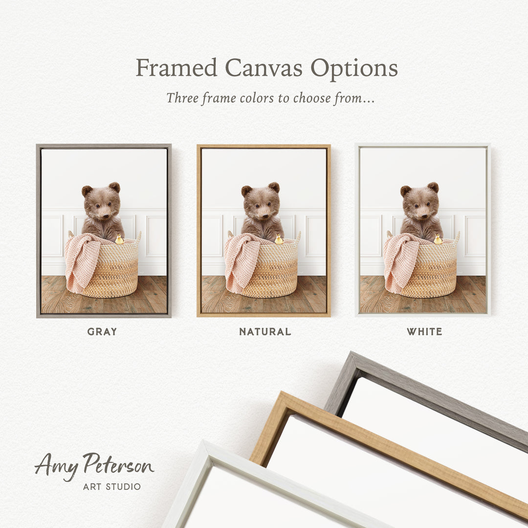 three framed canvas options, each featuring a teddy bear in a basket. The options include a gray frame, a natural frame, and a white frame. The text above the images reads " framed Canvas Options" and "Three frame colors to choose from...". The bottom of the image includes the text " Amy Peterson ART STUDIO".