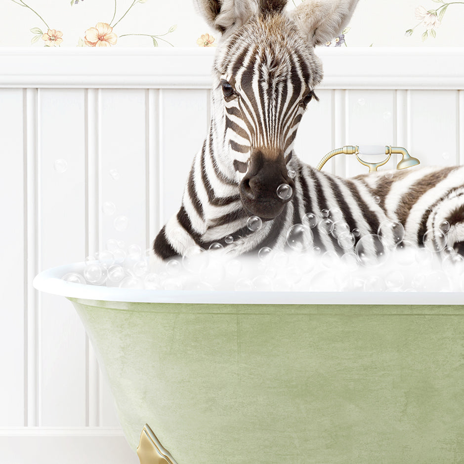 a baby zebra laying in a bath tub