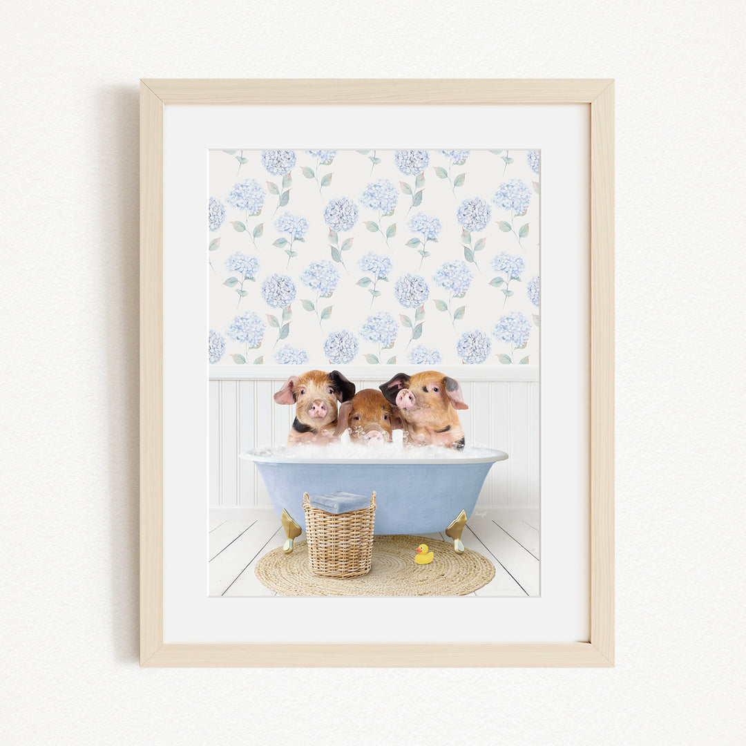 Three adorable pigs sitting in a blue bathtub, surrounded by a floral patterned wall and a basket of rubber ducks.