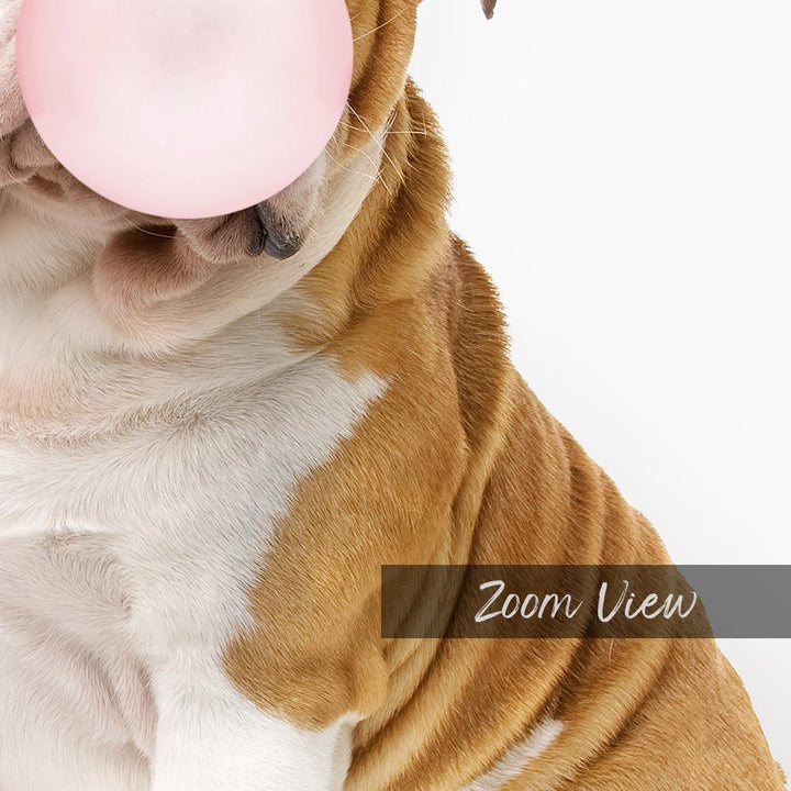 a brown and white dog chewing on a pink bubble