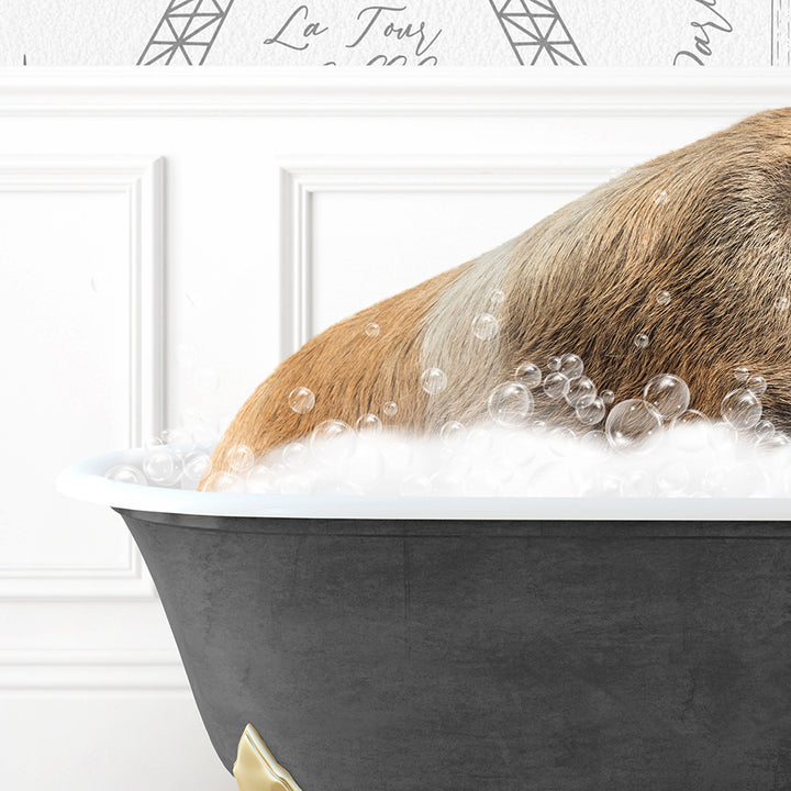 a dog is taking a bath in a bathtub