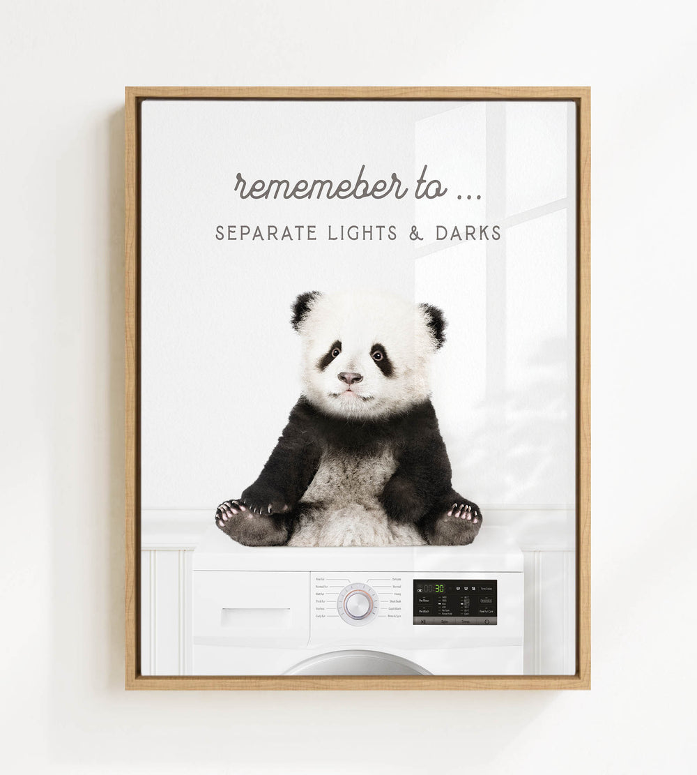 A panda bear sitting on a washing machine, with the text "Remember to separate lights & darks" displayed above the image.