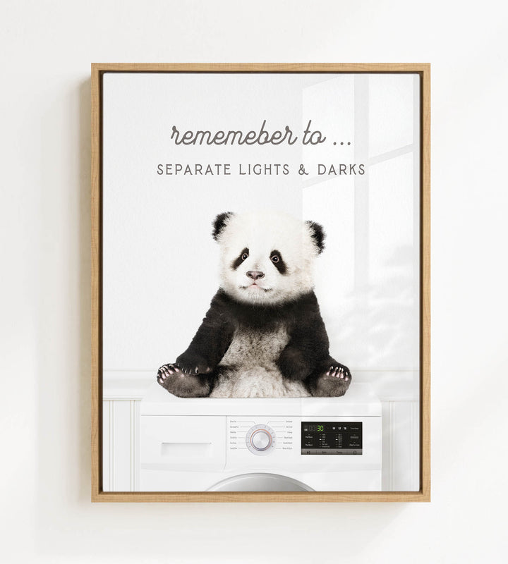 A panda bear sitting on a washing machine, with the text "Remember to separate lights & darks" displayed above the image.