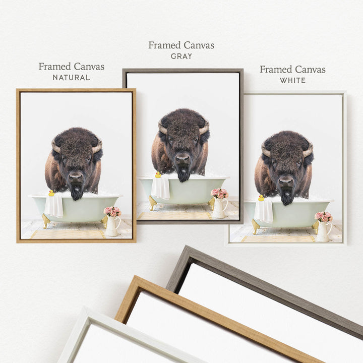 three framed pictures of a buffalo in a bathtub, each with a different colored frame. The first frame is natural, the second is gray, and the third is white.