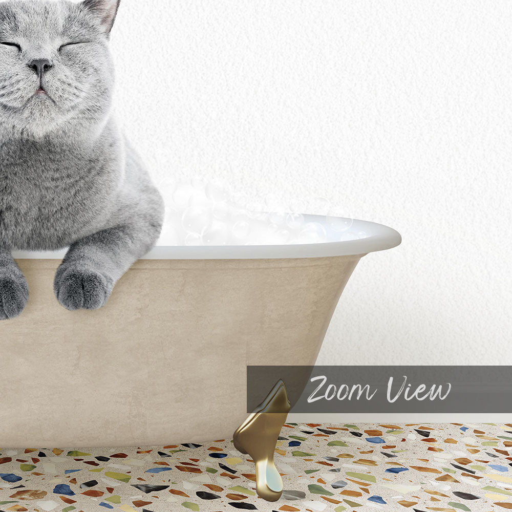 A gray cat sitting in a bathtub filled with water, with a text overlay that reads "Zoom View".
