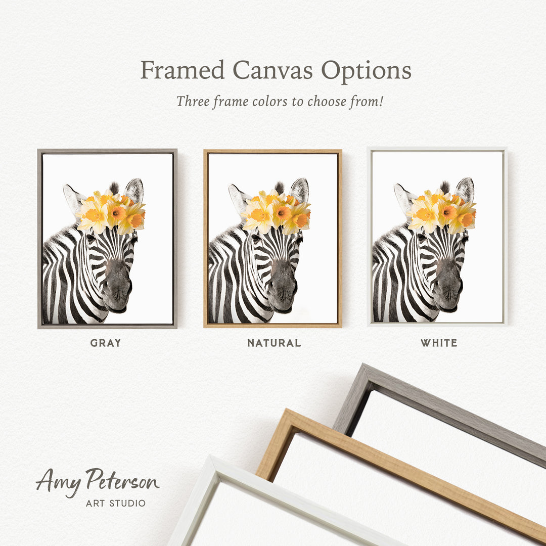 three framed canvas options for a zebra image, each with a different frame color: gray, natural, and white.