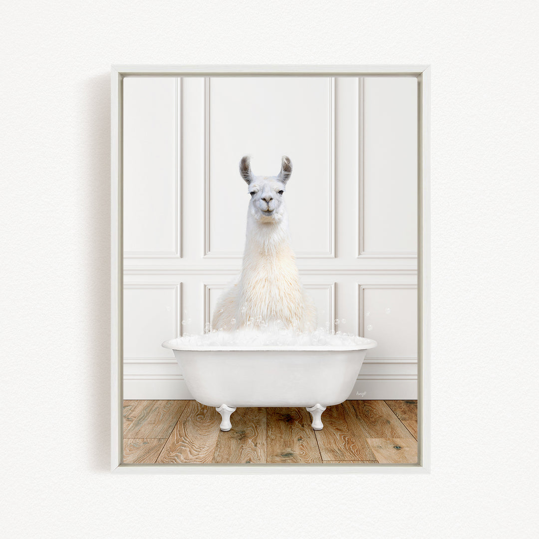 A white llama sitting in a white bathtub filled with bubbles, creating a whimsical and playful scene.