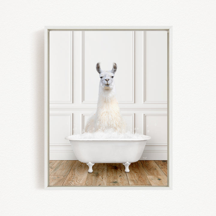 A white llama sitting in a white bathtub filled with bubbles, creating a whimsical and playful scene.