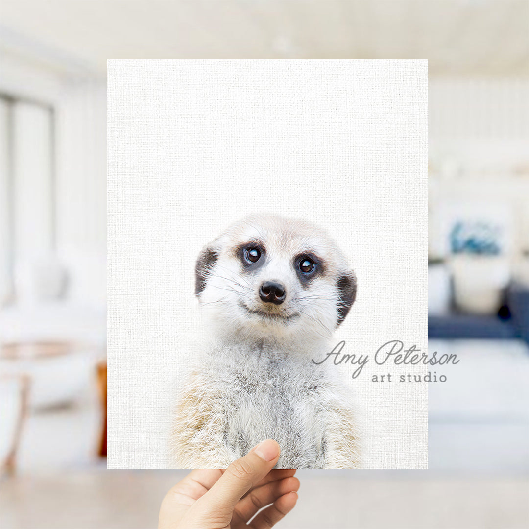 a person holding up a picture of a meerkat