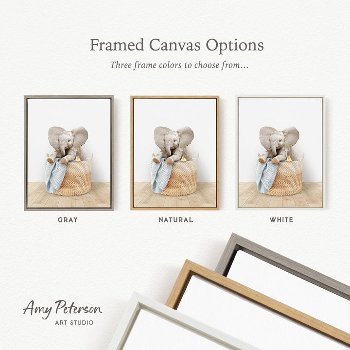 three framed canvas options, each featuring a different color and frame style. The options include a gray frame, a natural frame, and a white frame. The text above the images reads " Framed Canvas Options" and "Three frame colors to choose from...". The text below the images reads "Grays", "NATURAL", and "WHITE". The artist's name, " Amy Peterson ART STUDIO", is also present.