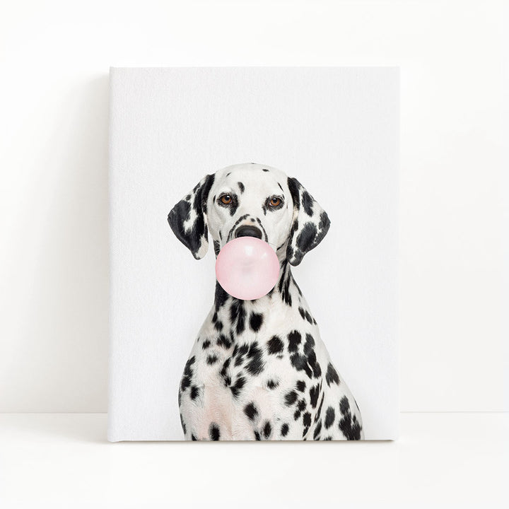 A Dalmatian dog is sitting and blowing a bubble with a pink bubble gum bubble.