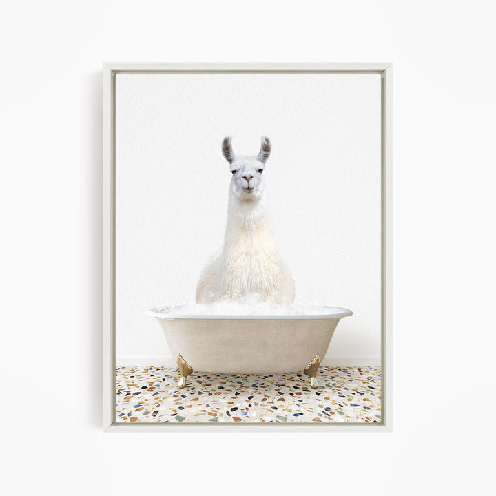 A white llama sitting in a white bathtub filled with water, with a speckled floor in the background.