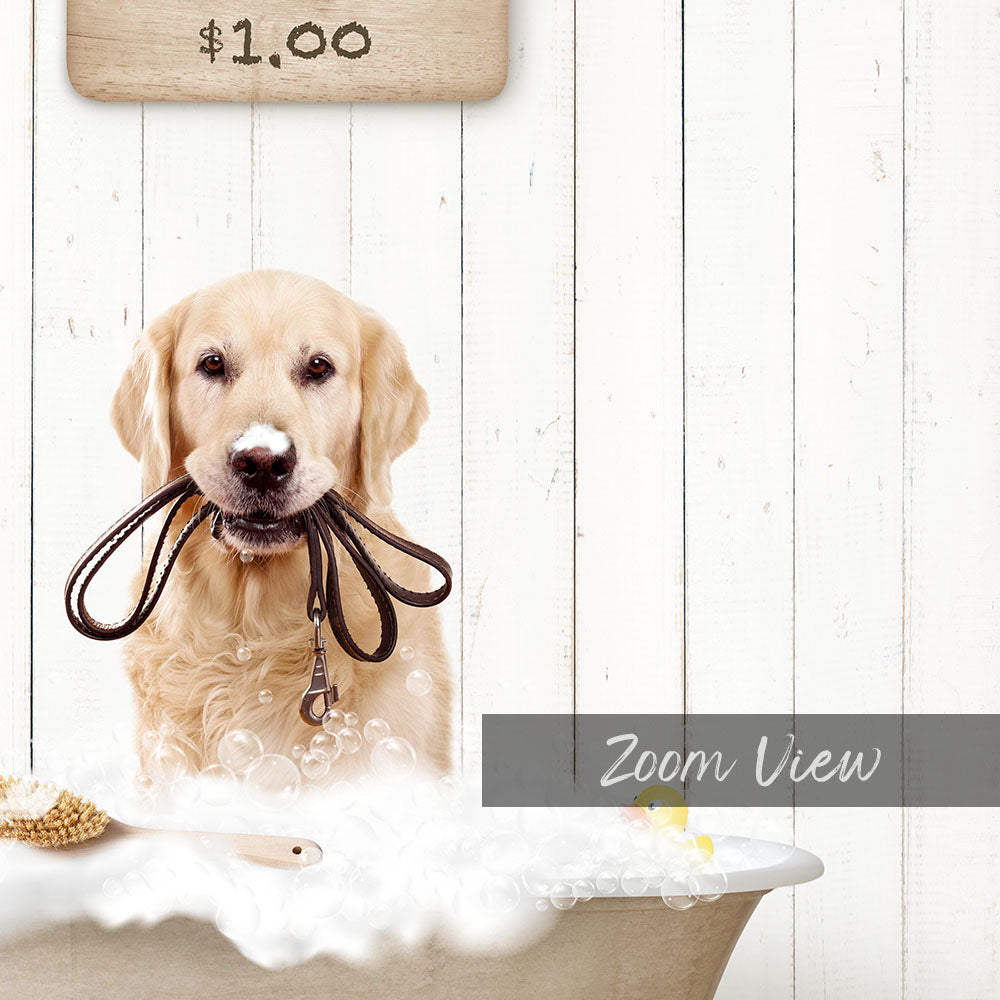 A golden retriever dog is sitting in a bathtub filled with bubbles, holding a leash in its mouth.