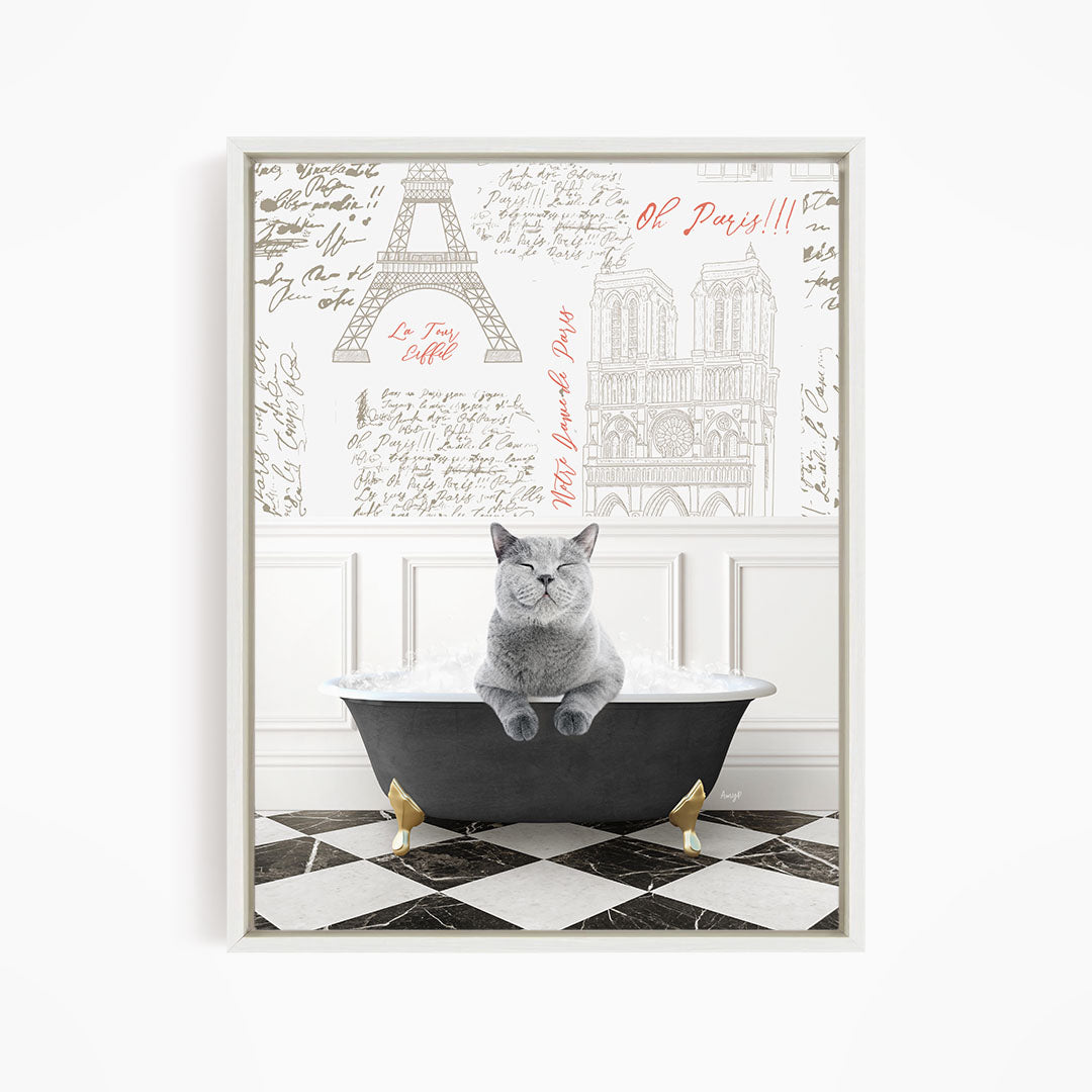 A gray cat sitting in a bathtub filled with water, with a Paris-themed background featuring the Eiffel Tower and other Parisian landmarks.