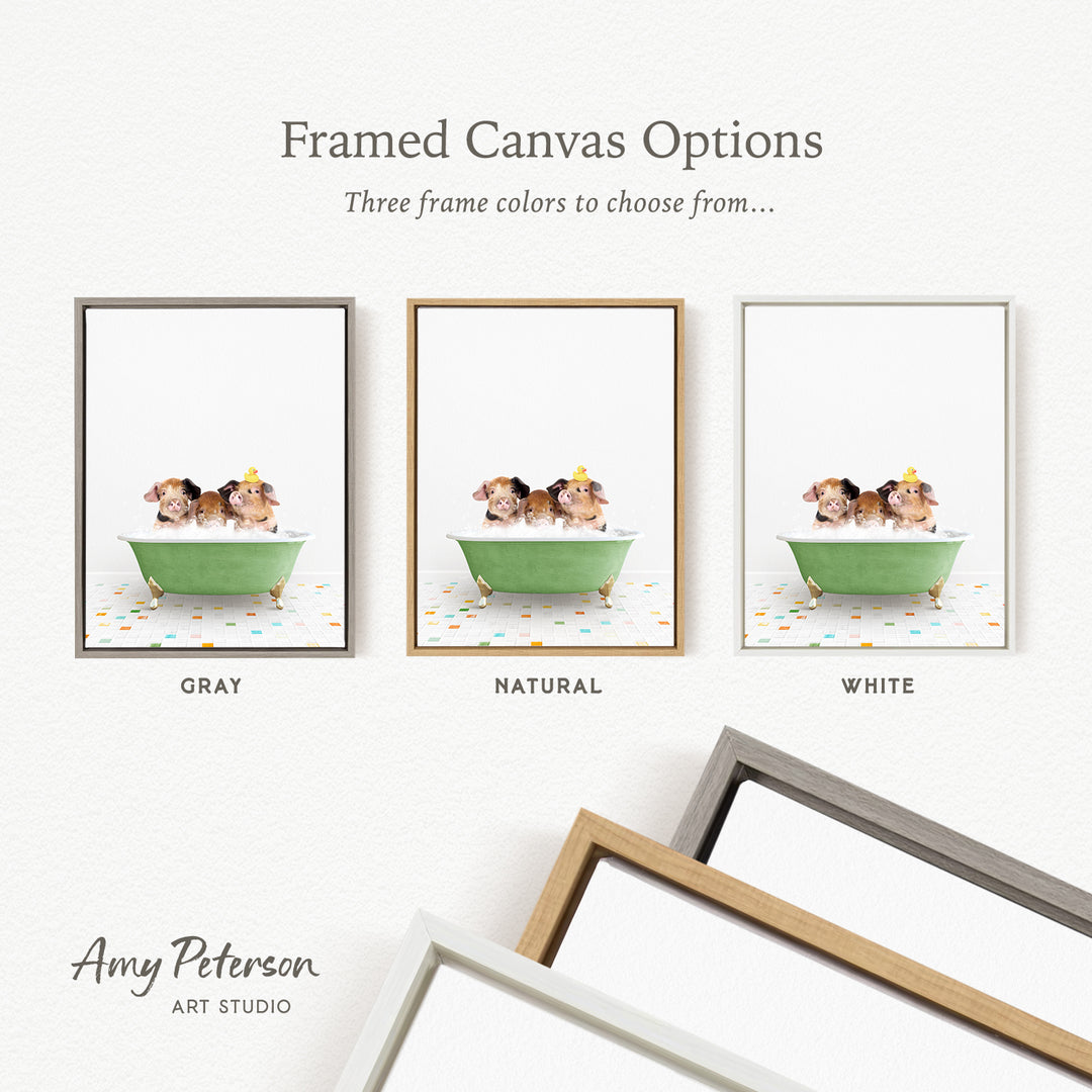 three framed canvas options, each featuring a different color and frame style. The options include a gray frame, a natural frame, and a white frame. The text above the options reads " Framed Canvas Options Three frame colors to choose from...".
