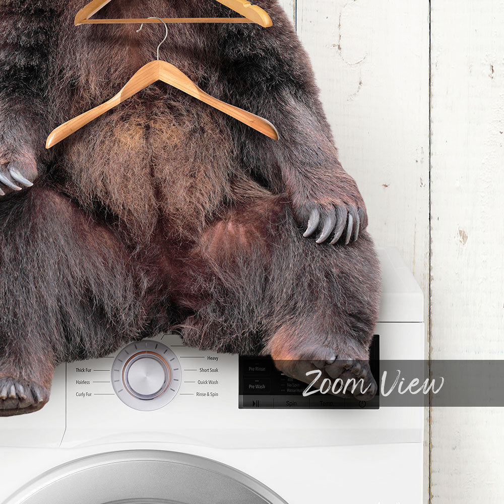 A close-up image of a bear sitting on top of a washing machine, with a wooden hanger hanging from the bear's back.