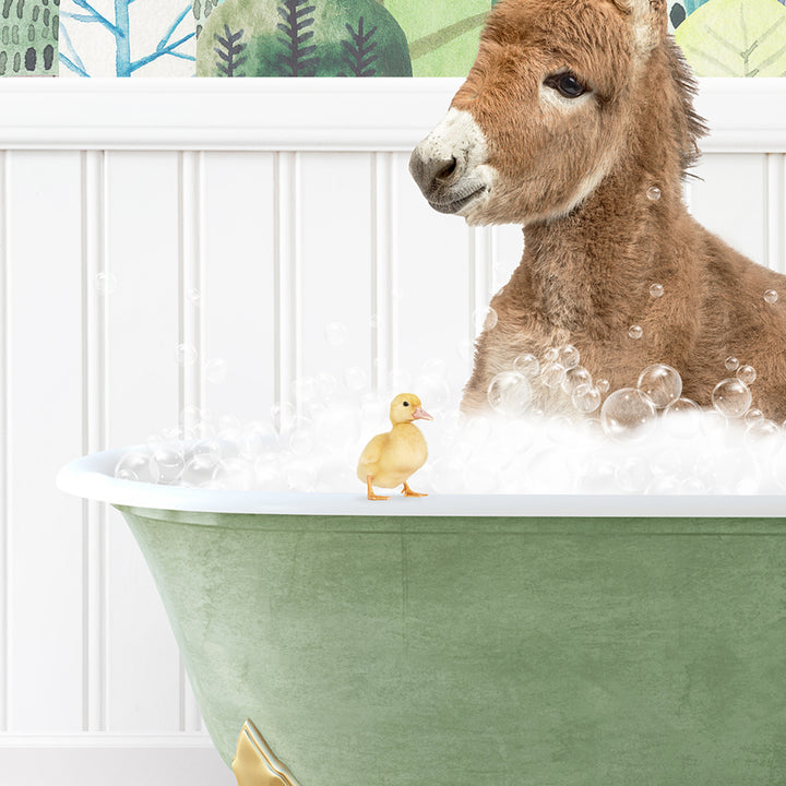 a baby donkey in a bathtub with bubbles and a rubber duck