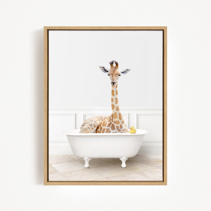 A giraffe is sitting in a white bathtub, with a yellow rubber duck floating in the water.