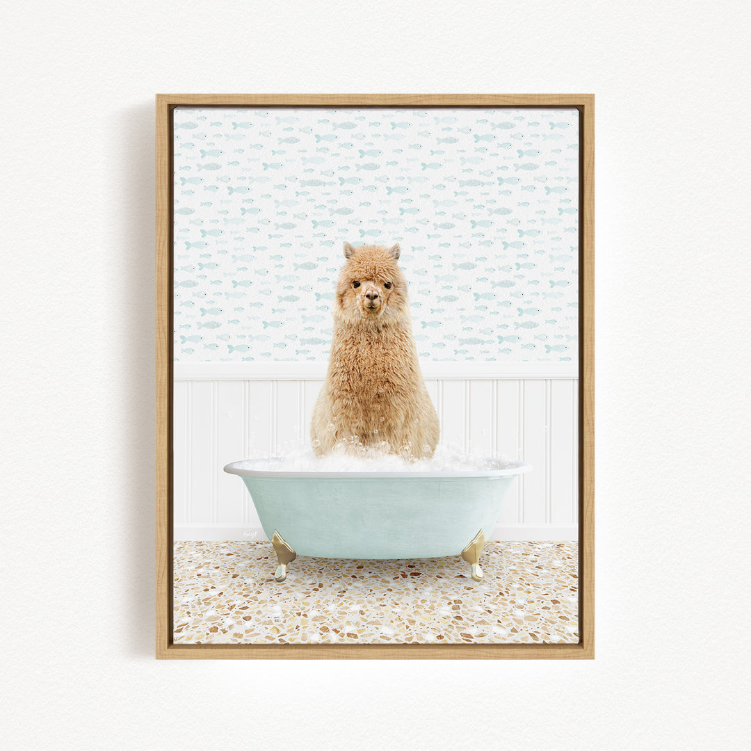 A fluffy brown dog sitting in a light blue bathtub filled with bubbles, with a patterned wall behind it.