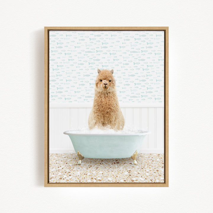 A fluffy brown dog sitting in a light blue bathtub filled with bubbles, with a patterned wall behind it.