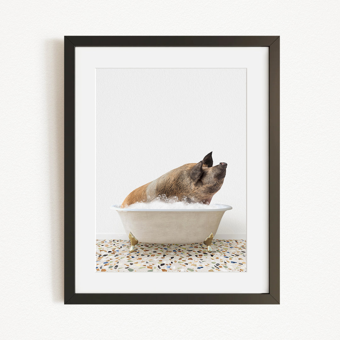 A pig sitting in a white bathtub filled with water, looking up at the camera.