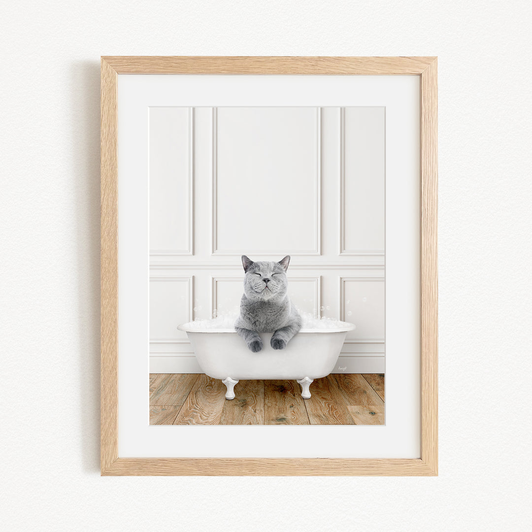 A gray cat sitting in a white bathtub, with a wooden floor and white walls in the background.
