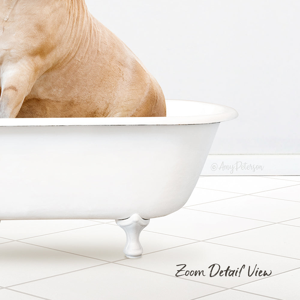 A tan dog is sitting in a white bathtub, with its head resting on the edge of the tub.