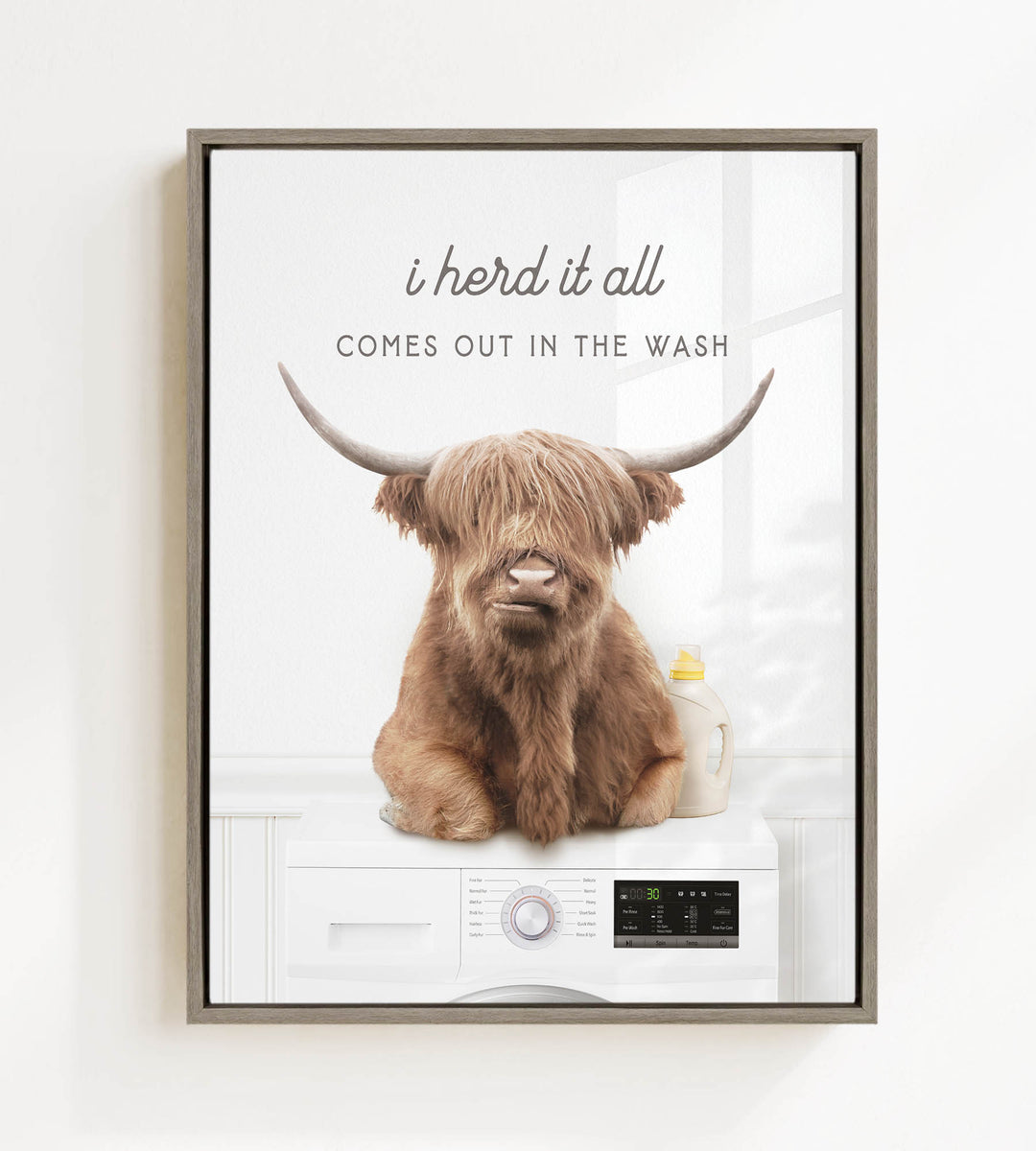 A brown cow with long horns sitting on top of a washing machine, with the text "I herd it all comes out in the wash" above the cow.