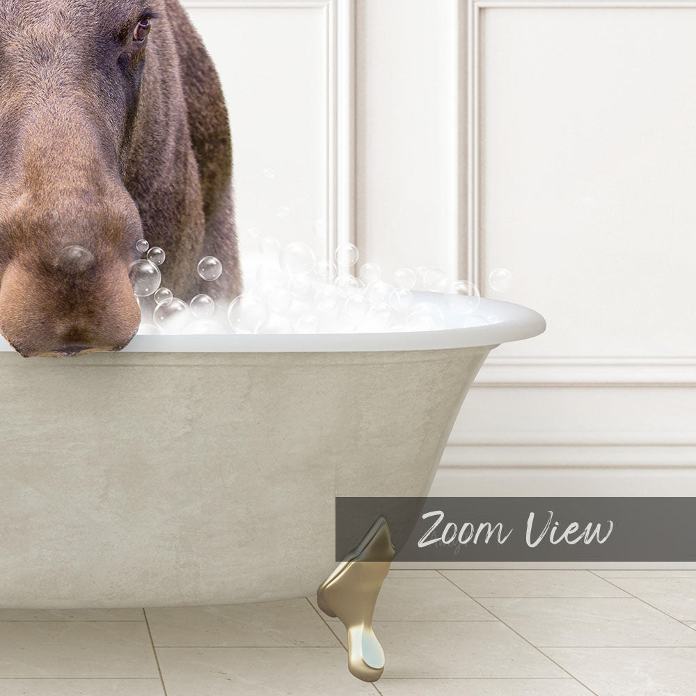 A close-up of a dog's face peeking over the edge of a bathtub filled with bubbles, with the word "Zoom View" displayed below.