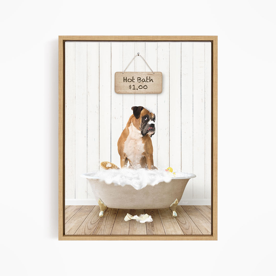 A brown and white dog sitting in a white bathtub filled with bubbles, with a sign above the tub indicating a hot bath for $1.00.