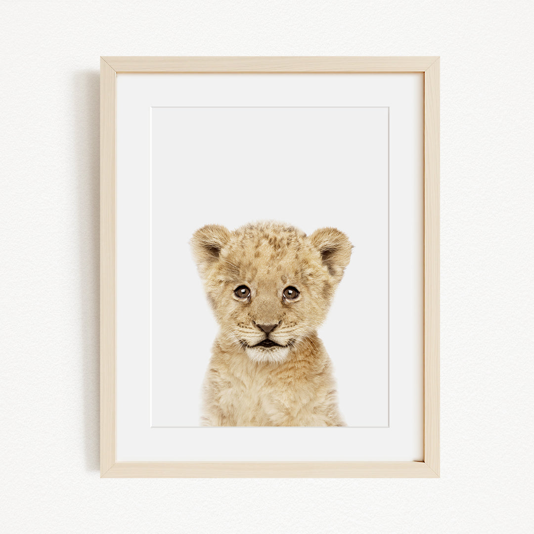 A young lion cub with a curious expression is the focus of the framed print displayed on the wall.