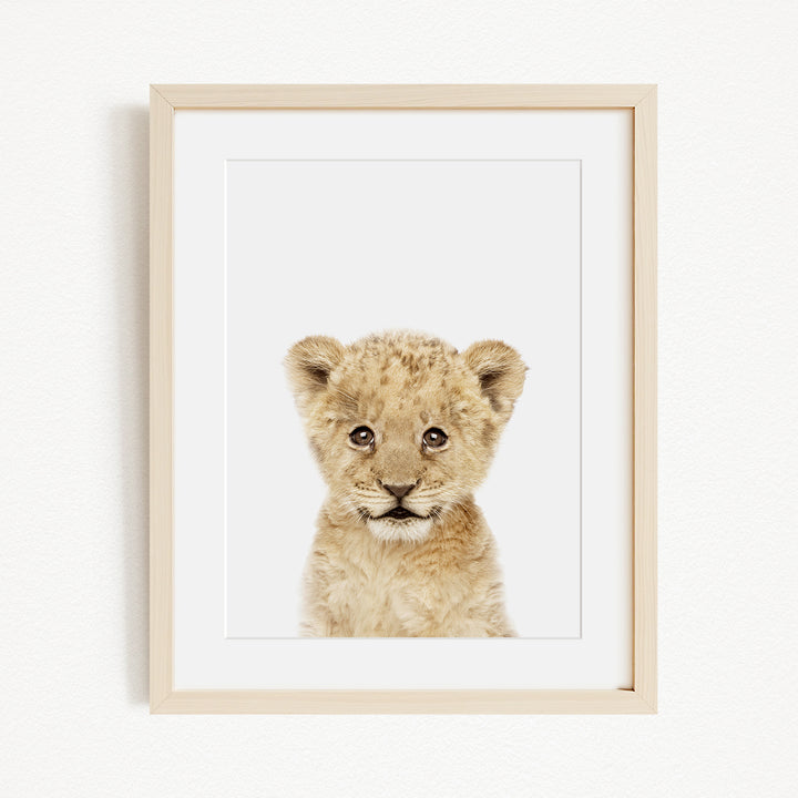 A young lion cub with a curious expression is the focus of the framed print displayed on the wall.