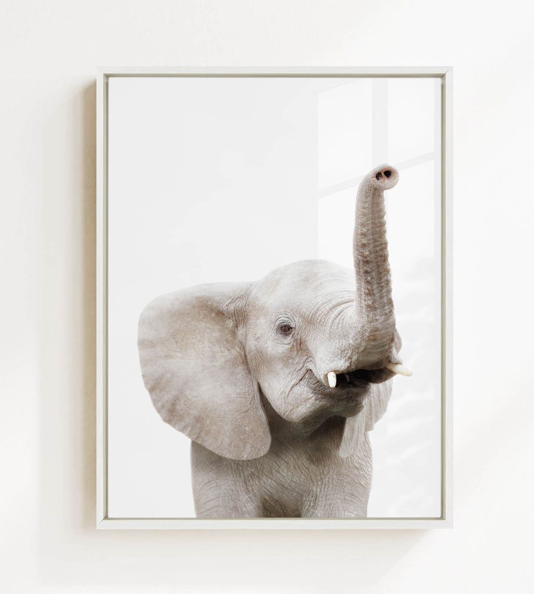 A gray elephant with its trunk raised, standing against a white background.