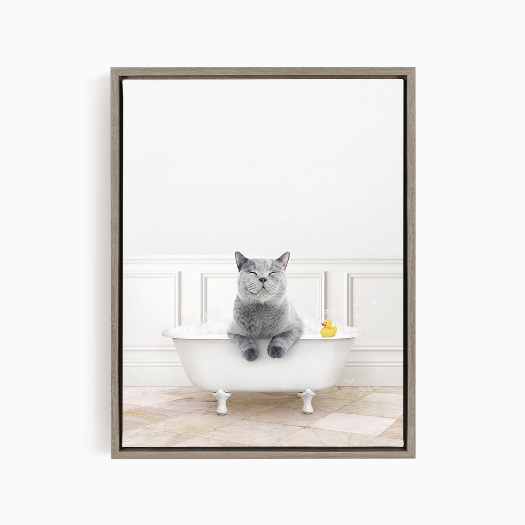 A gray cat sitting in a white bathtub, with a rubber duck floating in the water.
