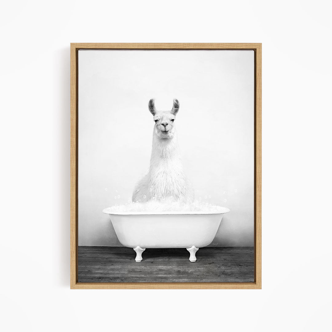 A white llama sitting in a white bathtub filled with bubbles.