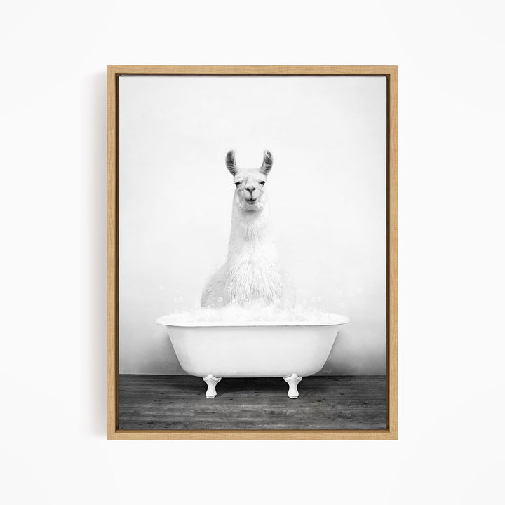 A white llama sitting in a white bathtub filled with bubbles.