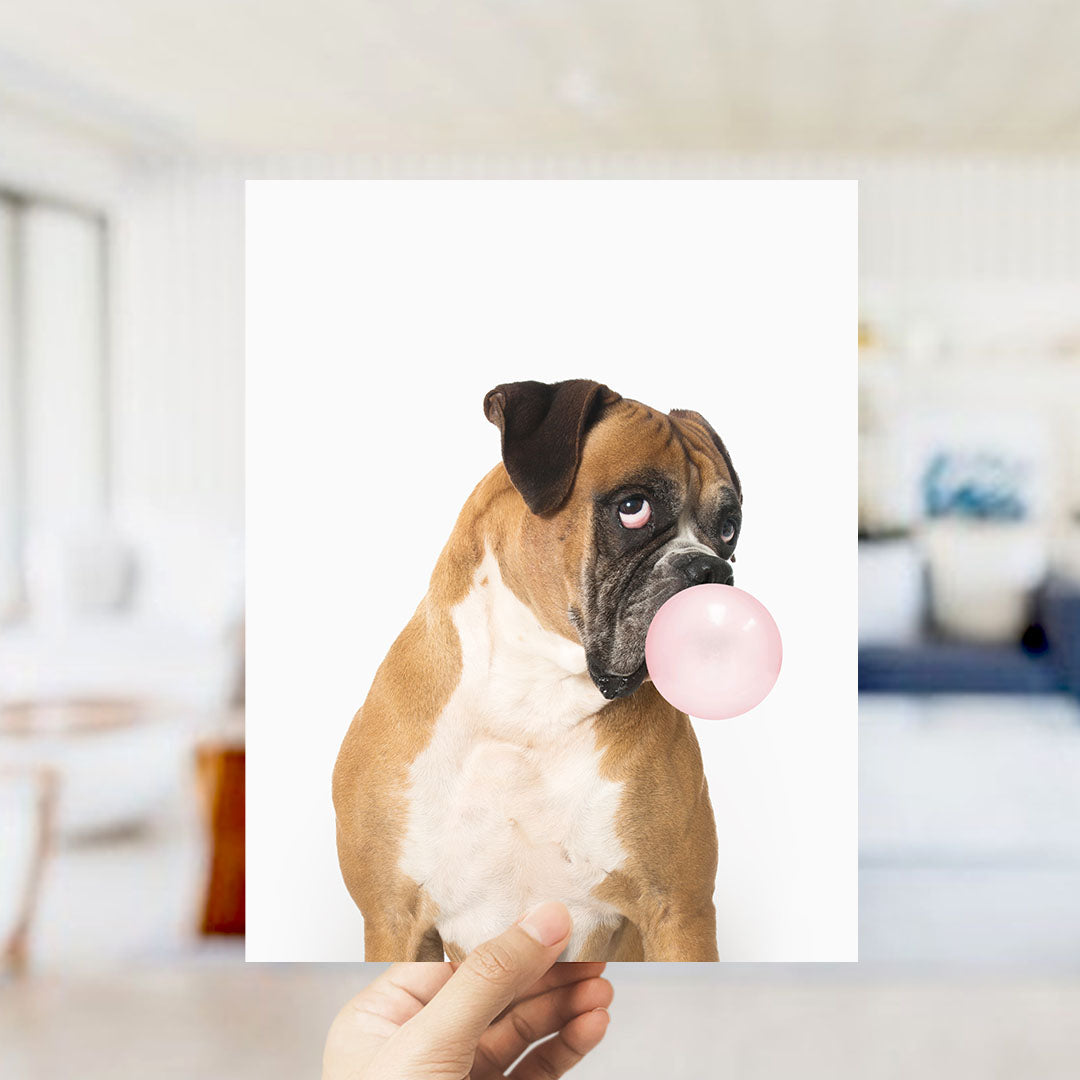 A brown and white dog is blowing a bubble with a pink bubble gum bubble in the image.