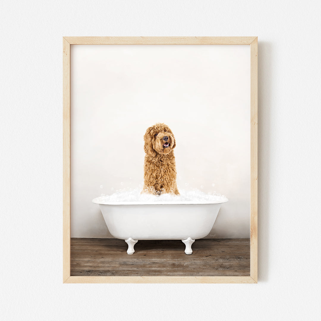 a brown dog sitting in a bathtub with foam