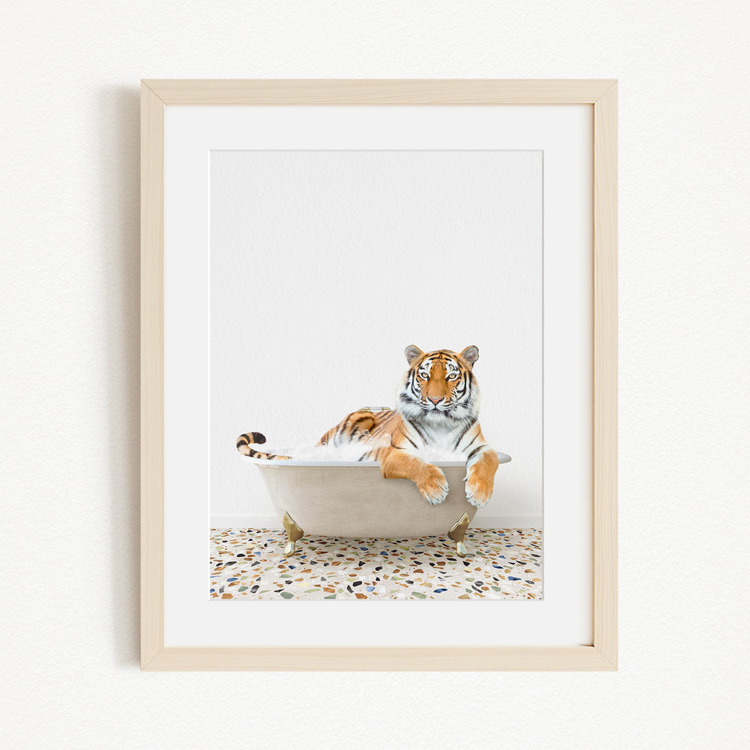 A tiger is sitting in a bathtub filled with water, appearing relaxed and comfortable.