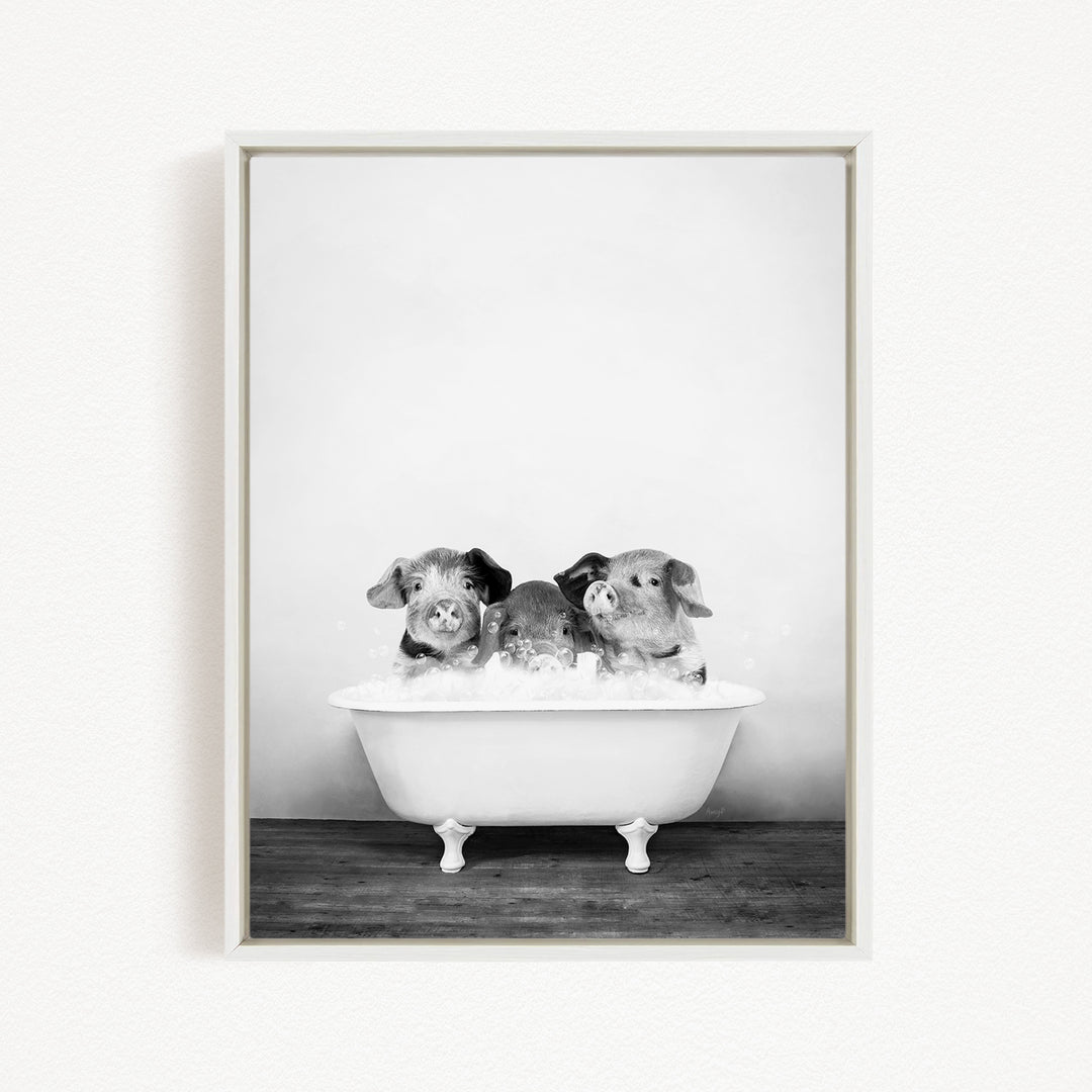 A black and white image of three adorable dogs sitting in a white bathtub, enjoying a bath together.