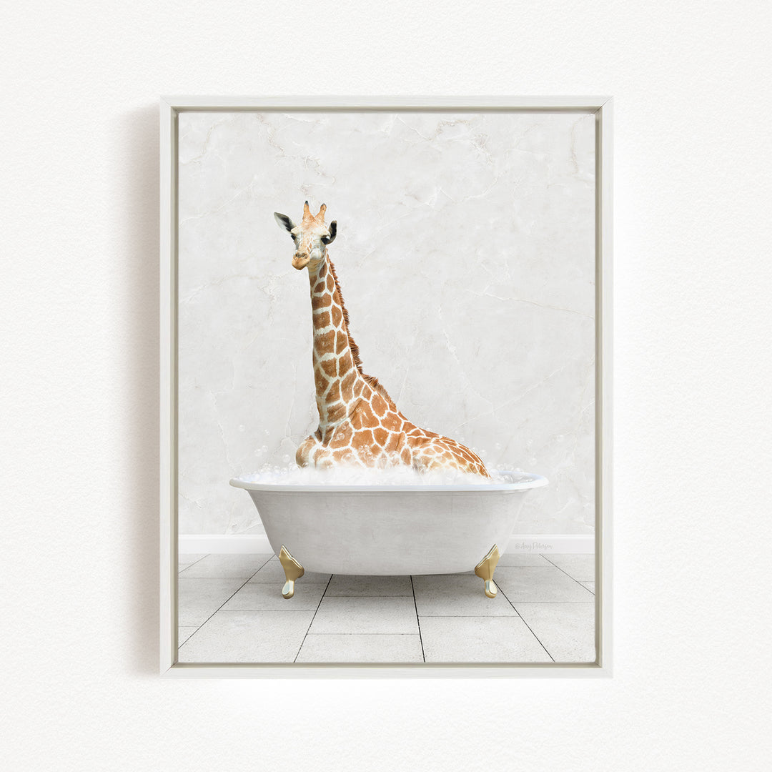 A giraffe sitting in a white bathtub, appearing to enjoy the bath.