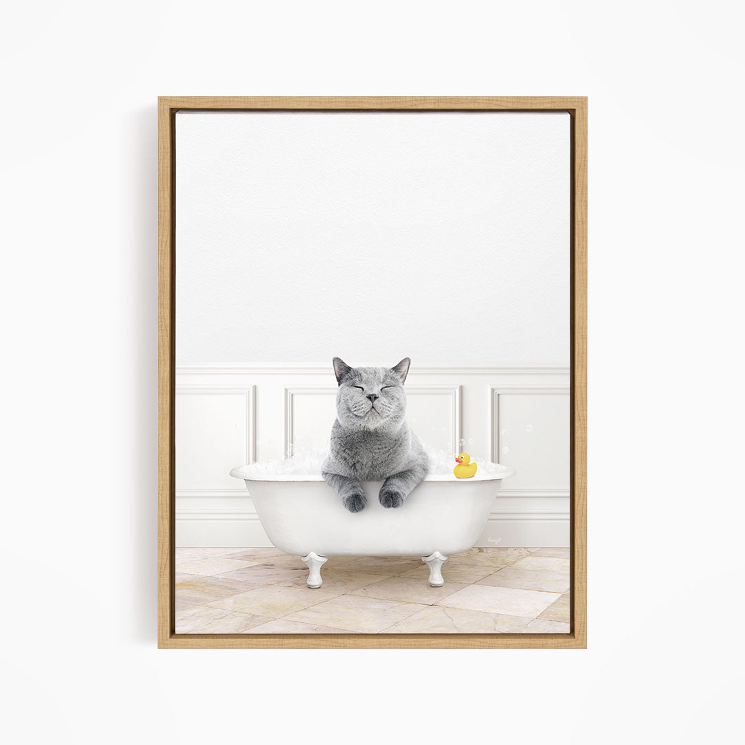 A gray cat sitting in a white bathtub, with a rubber duck floating on the water.