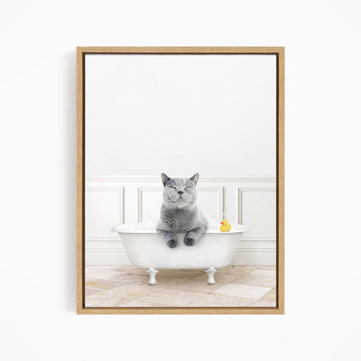 A gray cat sitting in a white bathtub, with a rubber duck floating on the water.