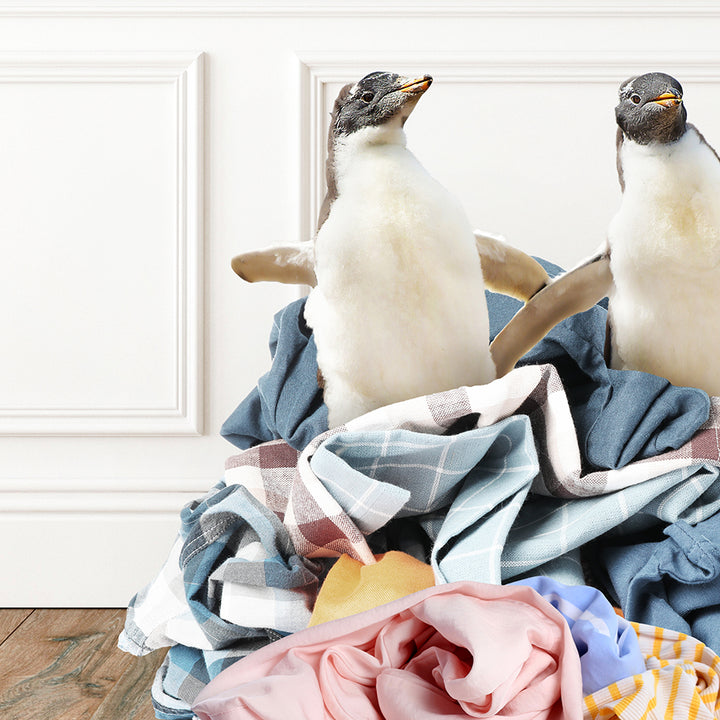 a couple of birds sitting on top of a pile of clothes