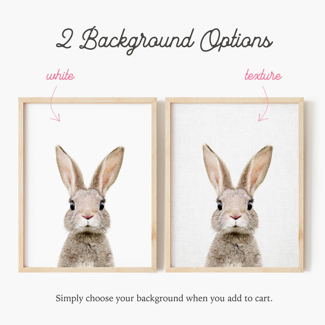 a picture of a rabbit's face in two different frames