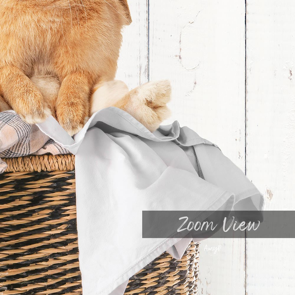A close-up image of a cat sitting in a woven basket, with a gray blanket or towel draped over the basket.