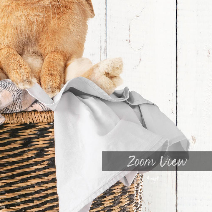 A close-up image of a cat sitting in a woven basket, with a gray blanket or towel draped over the basket.