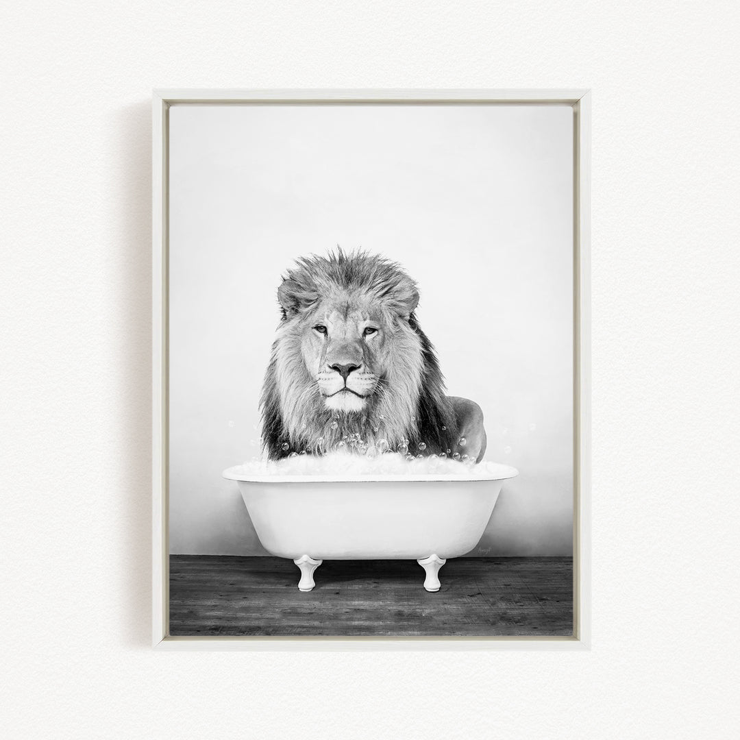 A lion sitting in a bathtub filled with bubbles, looking directly at the camera.
