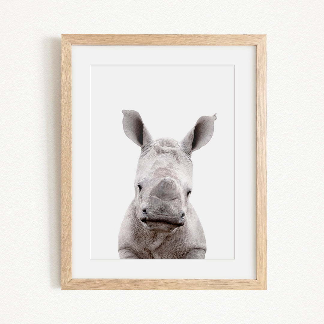 A framed photograph of a rhinoceros, with its distinctive horn-like structures visible.